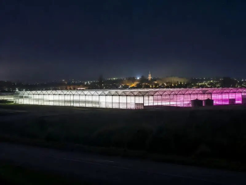 greenhouse light pollution LED