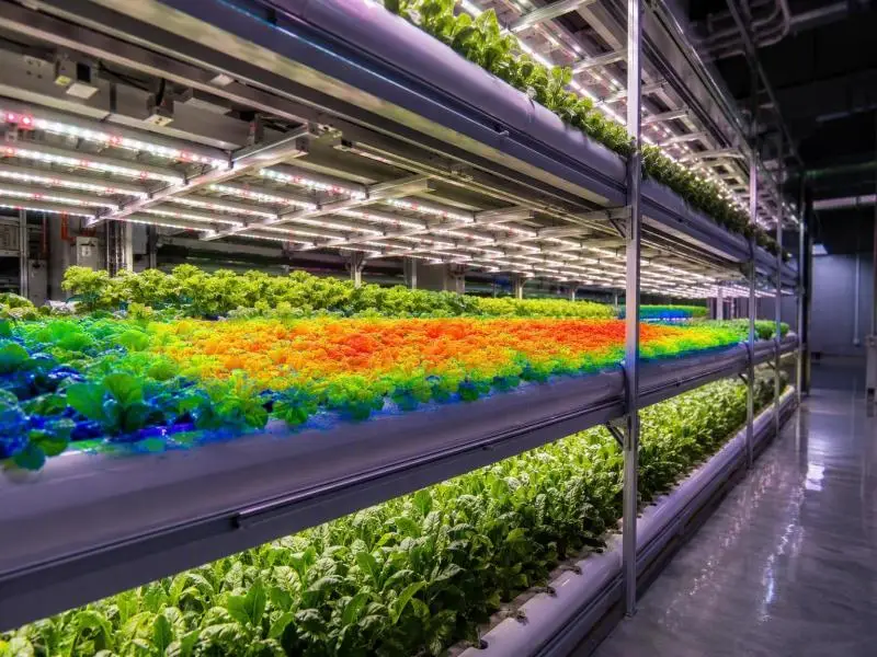 commercial dwc lighting