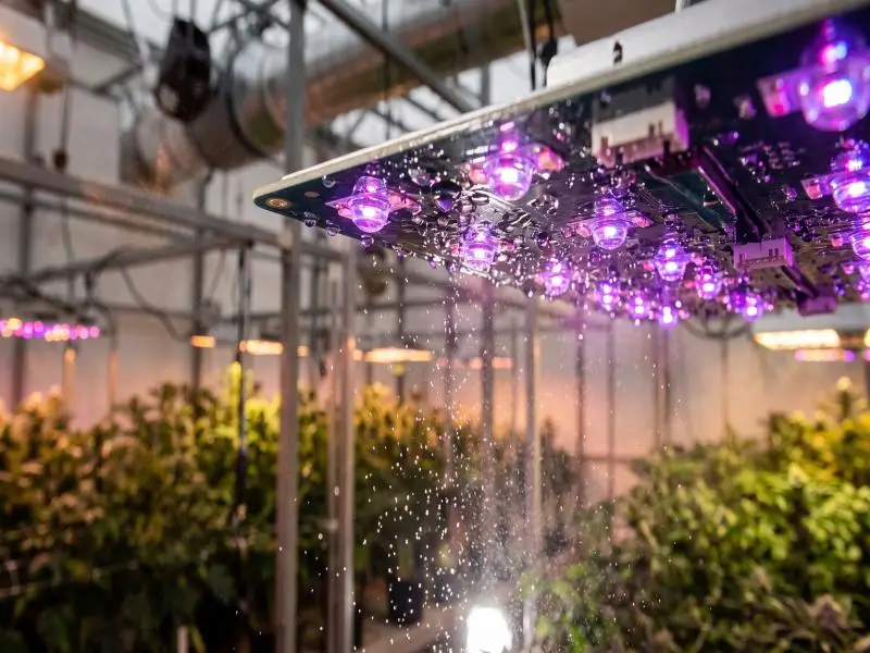 conformal coating led grow lights
